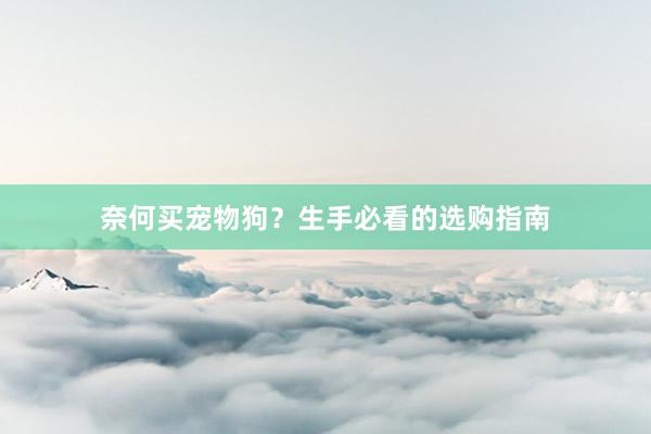 奈何买宠物狗？生手必看的选购指南