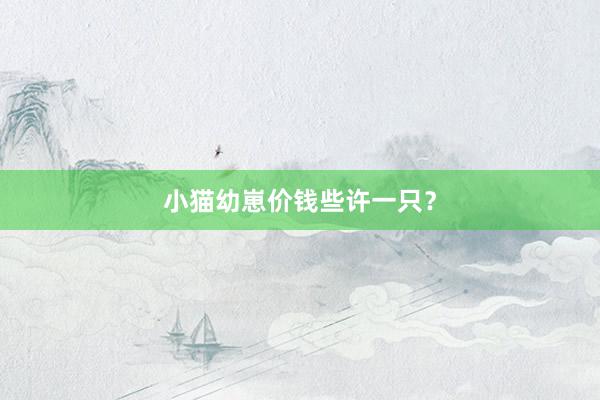 小猫幼崽价钱些许一只？