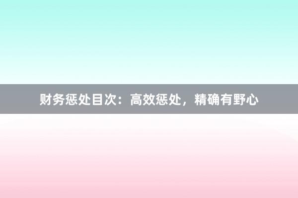 财务惩处目次：高效惩处，精确有野心
